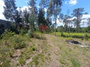 Terreno R�stico - Bodiosa, Viseu, Viseu - Miniatura: 3/3