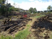 Terreno R�stico - Calde, Viseu, Viseu - Miniatura: 1/2