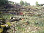 Terreno R�stico - Calde, Viseu, Viseu - Miniatura: 2/2