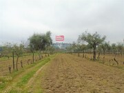 Terreno R�stico - S. Jo�o de Lourosa, Viseu, Viseu - Miniatura: 1/5
