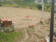 Terreno R�stico - S. Jo�o de Lourosa, Viseu, Viseu - Miniatura: 3/5