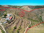 Quinta > T6 - Freixo de Numo, Vila Nova de Foz Ca, Guarda - Miniatura: 5/9
