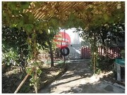 Terreno Rstico - Viseu, Viseu, Viseu - Miniatura: 3/5