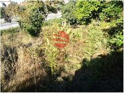 Terreno Rstico - Viseu, Viseu, Viseu - Miniatura: 5/5