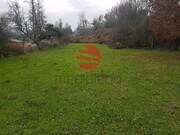 Quinta - Couto de Baixo, Viseu, Viseu - Miniatura: 3/9