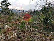 Quinta - Couto de Baixo, Viseu, Viseu - Miniatura: 6/9
