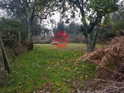 Quinta - Couto de Baixo, Viseu, Viseu - Miniatura: 7/9
