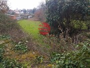 Quinta - Couto de Baixo, Viseu, Viseu - Miniatura: 9/9
