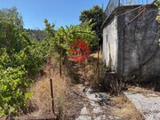 Moradia T2 - Paradinha, Moimenta da Beira, Viseu - Miniatura: 2/9