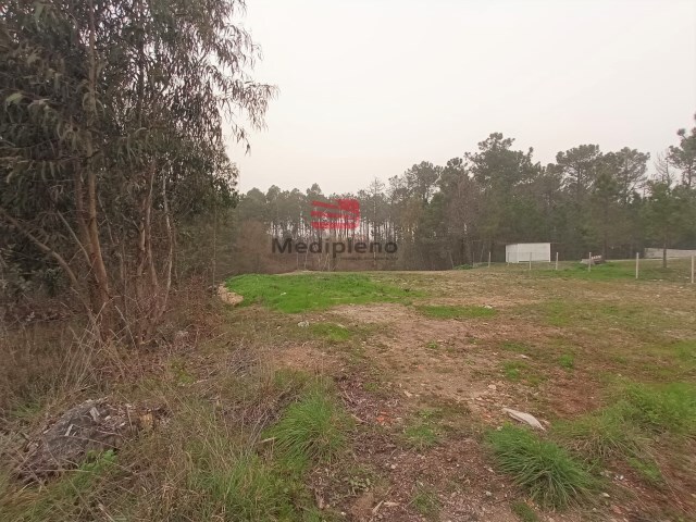 Terreno Rústico - Campo, Viseu, Viseu - Imagem grande