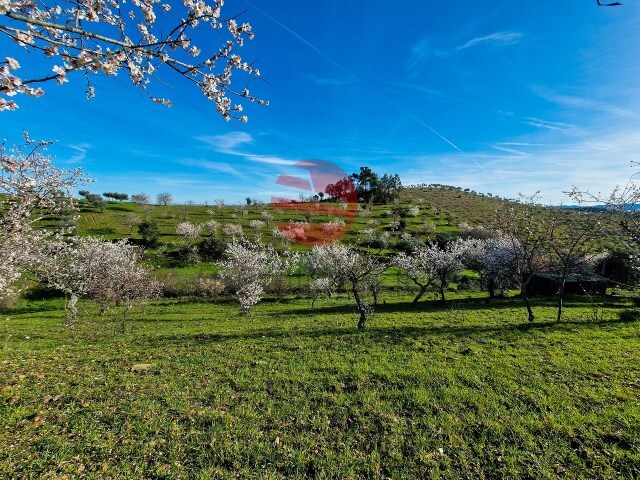 Terreno Rústico - Meda, Meda, Guarda - Imagem grande