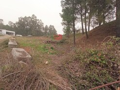 Terreno R�stico - Campo, Viseu, Viseu