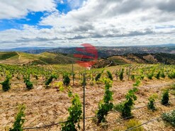 Terreno R�stico - Longroiva, Meda, Guarda