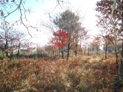 Terreno R�stico - Fragosela, Viseu, Viseu
