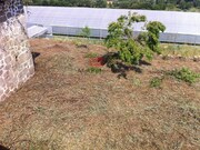 Moradia T4 - S�o Cipriano, Viseu, Viseu - Miniatura: 5/9