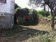 Moradia T4 - S�o Cipriano, Viseu, Viseu - Miniatura: 8/9