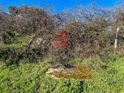 Terreno Rstico - Meda, Meda, Guarda - Miniatura: 7/9