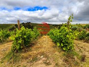 Terreno R�stico - Longroiva, Meda, Guarda - Miniatura: 2/9