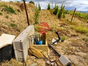Terreno R�stico - Longroiva, Meda, Guarda - Miniatura: 5/9