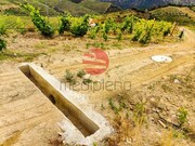 Terreno R�stico - Longroiva, Meda, Guarda - Miniatura: 9/9