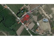 Moradia T2 - Rua, Moimenta da Beira, Viseu - Miniatura: 4/4