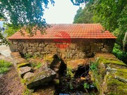 Moradia - Lajeosa do Mondego, Celorico da Beira, Guarda - Miniatura: 5/9