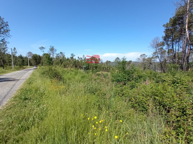 Terreno R�stico - Calde, Viseu, Viseu - Imagem grande