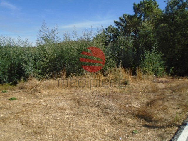 Terreno R�stico - Bodiosa, Viseu, Viseu - Imagem grande