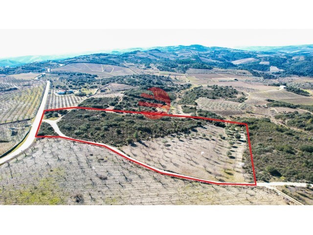 Terreno Rstico - Cedovim, Vila Nova de Foz Ca, Guarda - Imagem grande