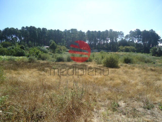 Terreno R�stico - Ranhados, Viseu, Viseu - Imagem grande