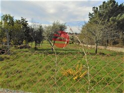 Terreno R�stico - Repeses, Viseu, Viseu