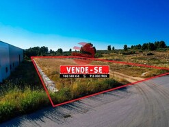 Outros - Meda, Meda, Guarda