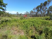 Terreno R�stico - Calde, Viseu, Viseu - Miniatura: 2/5
