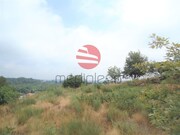 Terreno R�stico - S�o Cipriano, Viseu, Viseu - Miniatura: 2/3