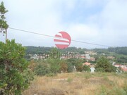 Terreno R�stico - S�o Cipriano, Viseu, Viseu - Miniatura: 3/3