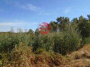 Terreno R�stico - Bodiosa, Viseu, Viseu - Miniatura: 1/5
