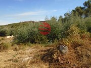 Terreno R�stico - Bodiosa, Viseu, Viseu - Miniatura: 2/5
