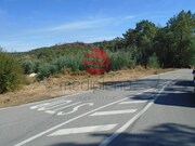 Terreno R�stico - Bodiosa, Viseu, Viseu - Miniatura: 3/5