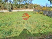 Terreno Rstico - Repeses, Viseu, Viseu - Miniatura: 1/9