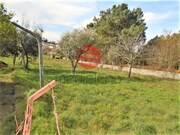 Terreno Rstico - Repeses, Viseu, Viseu - Miniatura: 3/9
