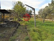 Terreno Rstico - Repeses, Viseu, Viseu - Miniatura: 4/9