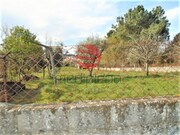 Terreno Rstico - Repeses, Viseu, Viseu - Miniatura: 8/9