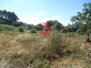 Terreno R�stico - Ranhados, Viseu, Viseu - Miniatura: 2/3