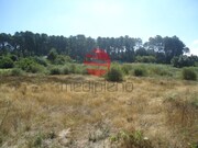 Terreno R�stico - Ranhados, Viseu, Viseu - Miniatura: 3/3