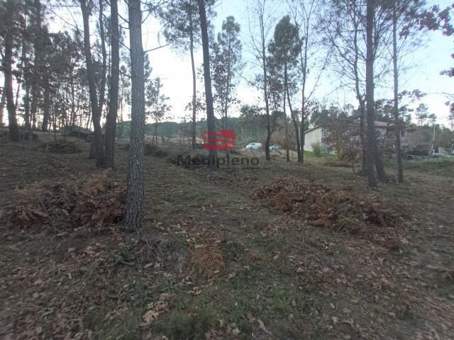 Terreno R�stico - Santos Evos, Viseu, Viseu - Imagem grande