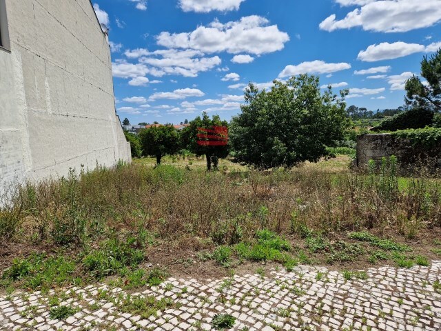 Terreno Urbano - S. Jo�o de Lourosa, Viseu, Viseu - Imagem grande