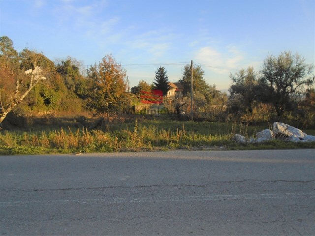 Terreno R�stico - Rio de Loba, Viseu, Viseu - Imagem grande