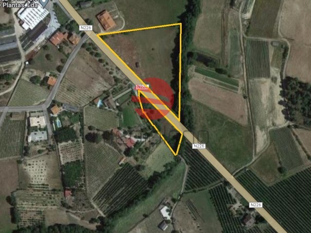 Terreno R�stico - Rua, Moimenta da Beira, Viseu - Imagem grande