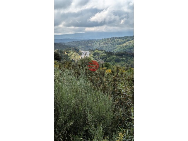 Quinta - Fornos de Algodres, Fornos de Algodres, Guarda - Imagem grande