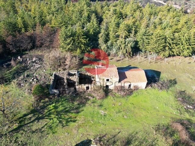 Quinta - Meda, Meda, Guarda - Imagem grande